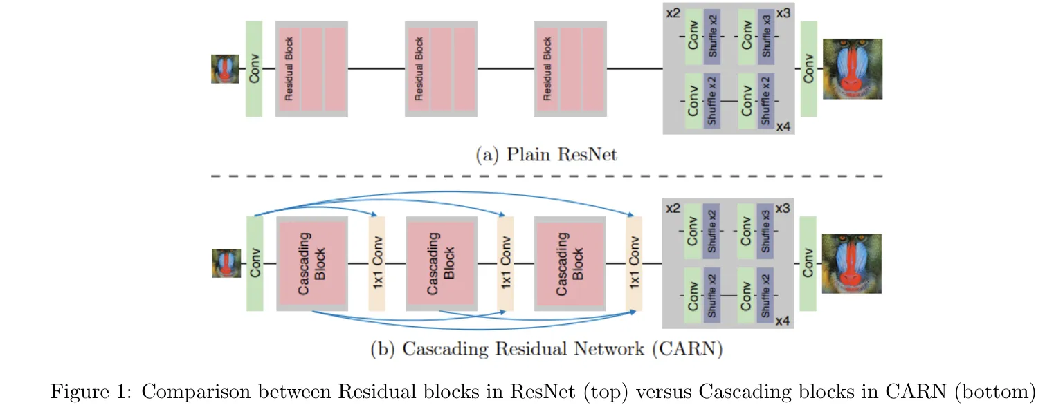 CARN Architecture